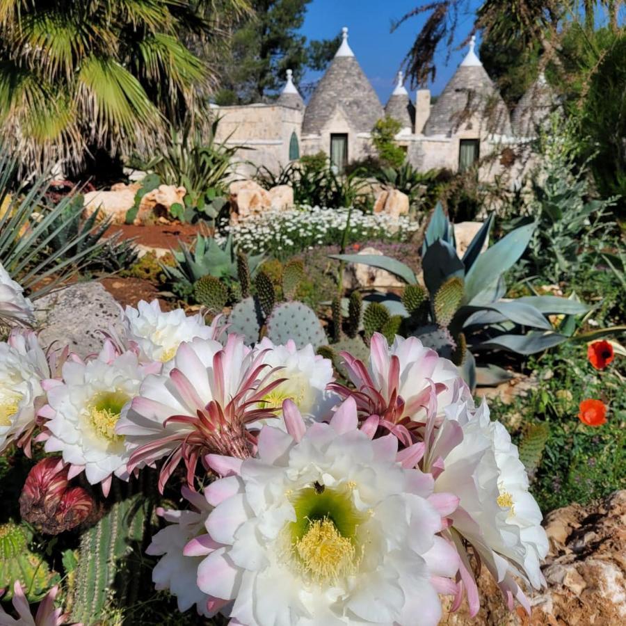 Willa Trullo Bosco Libero Ostuni Zewnętrze zdjęcie