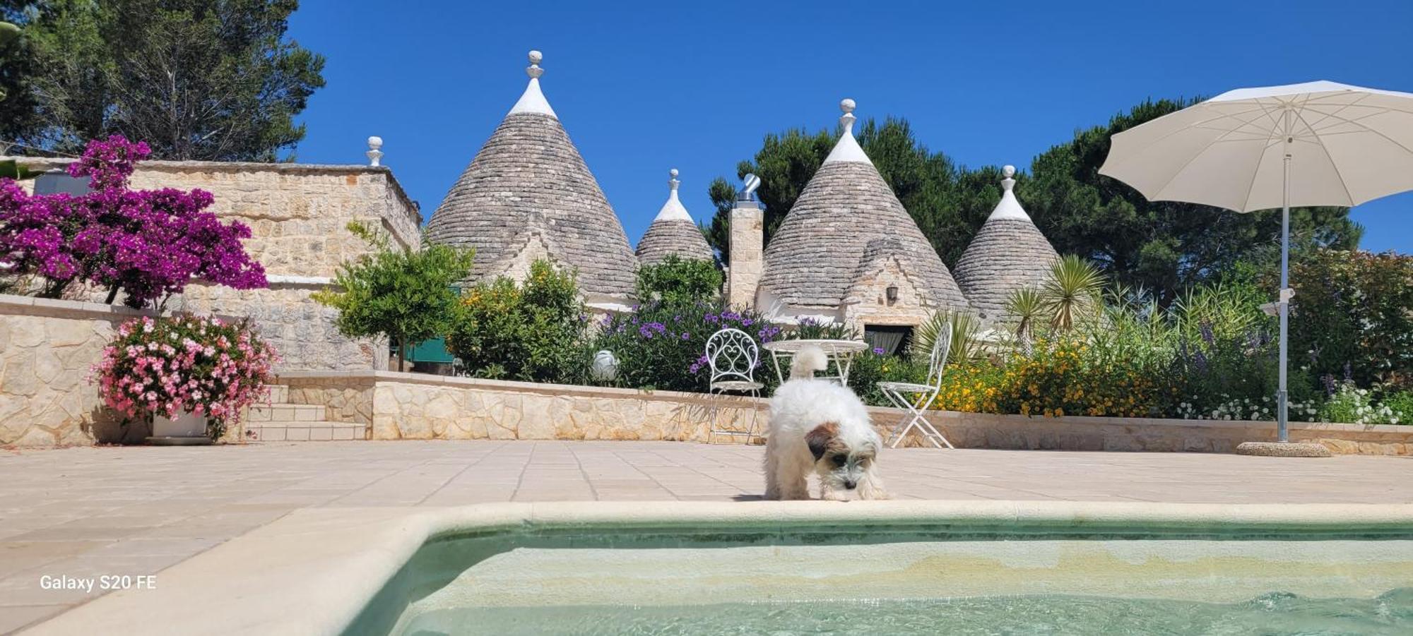 Willa Trullo Bosco Libero Ostuni Zewnętrze zdjęcie