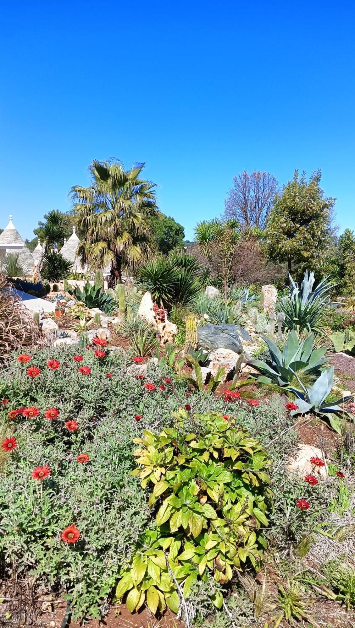 Willa Trullo Bosco Libero Ostuni Zewnętrze zdjęcie