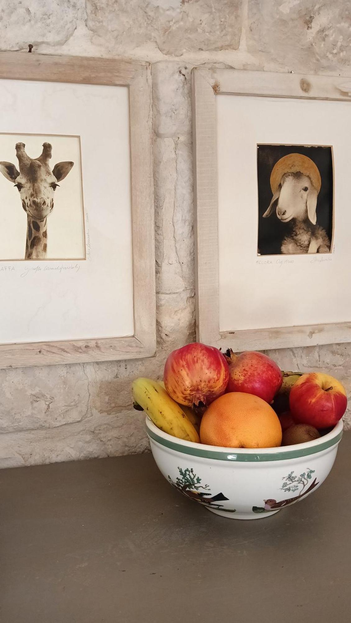 Willa Trullo Bosco Libero Ostuni Zewnętrze zdjęcie
